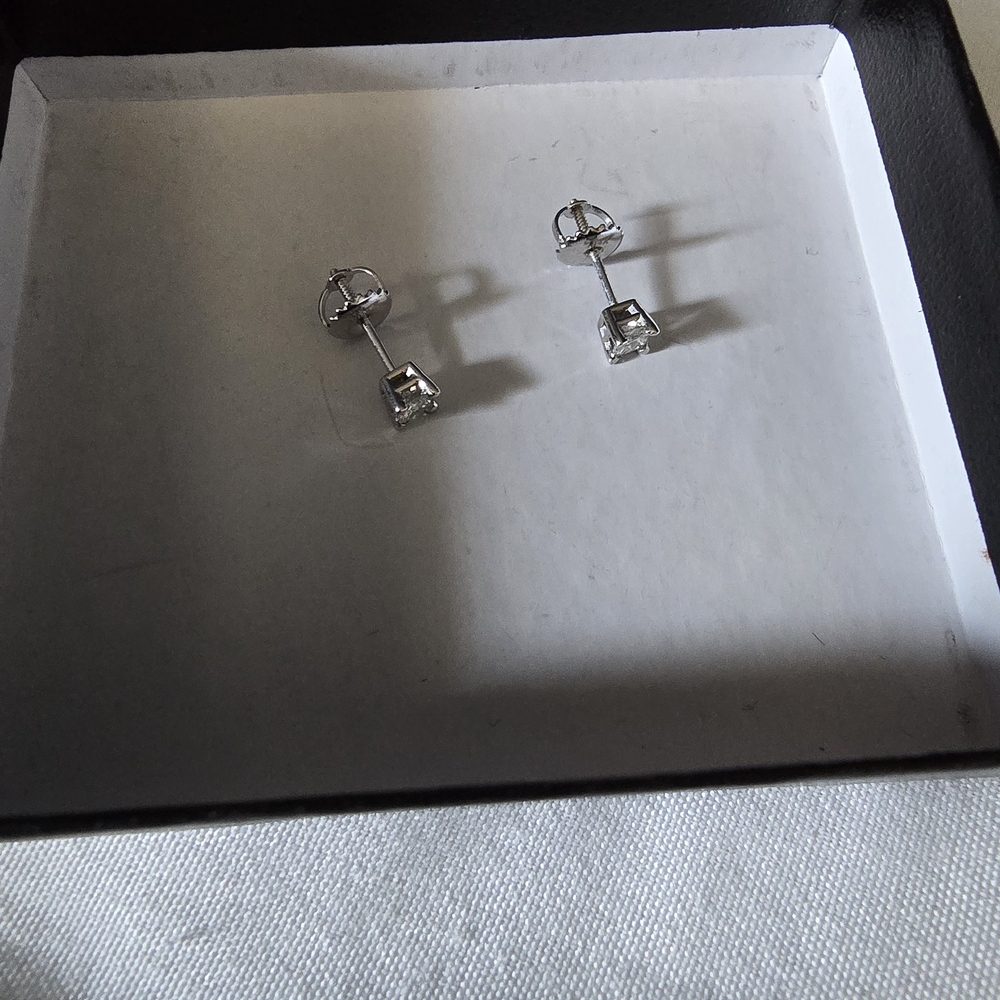 Elegant Silver Stud Earrings
